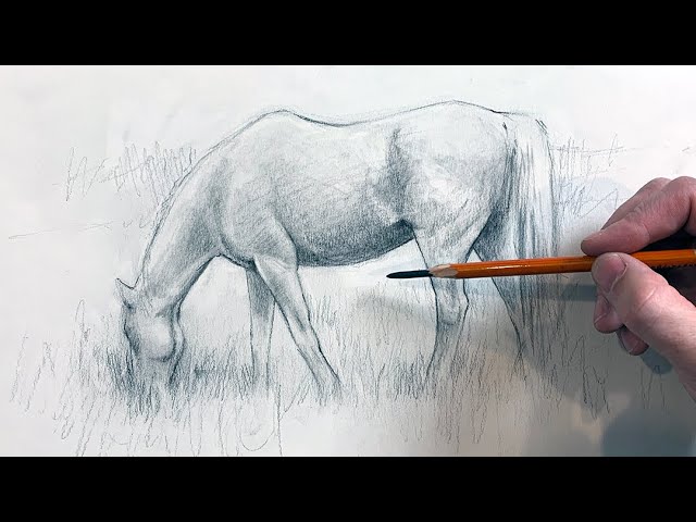 Realistic Running Horse Drawing | Charcoal Drawing | Time Lapse - YouTube